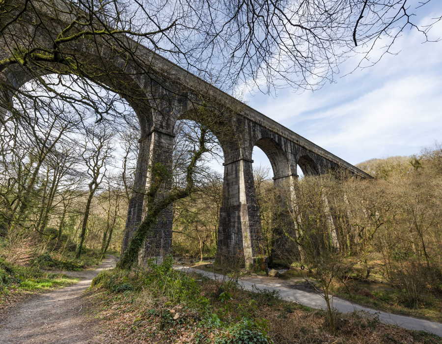 Treffry Viaduct, Luxulyan Valley, March 2021